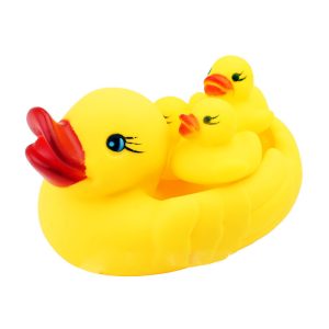 Swimming Duck